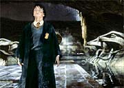 harry1.jpg